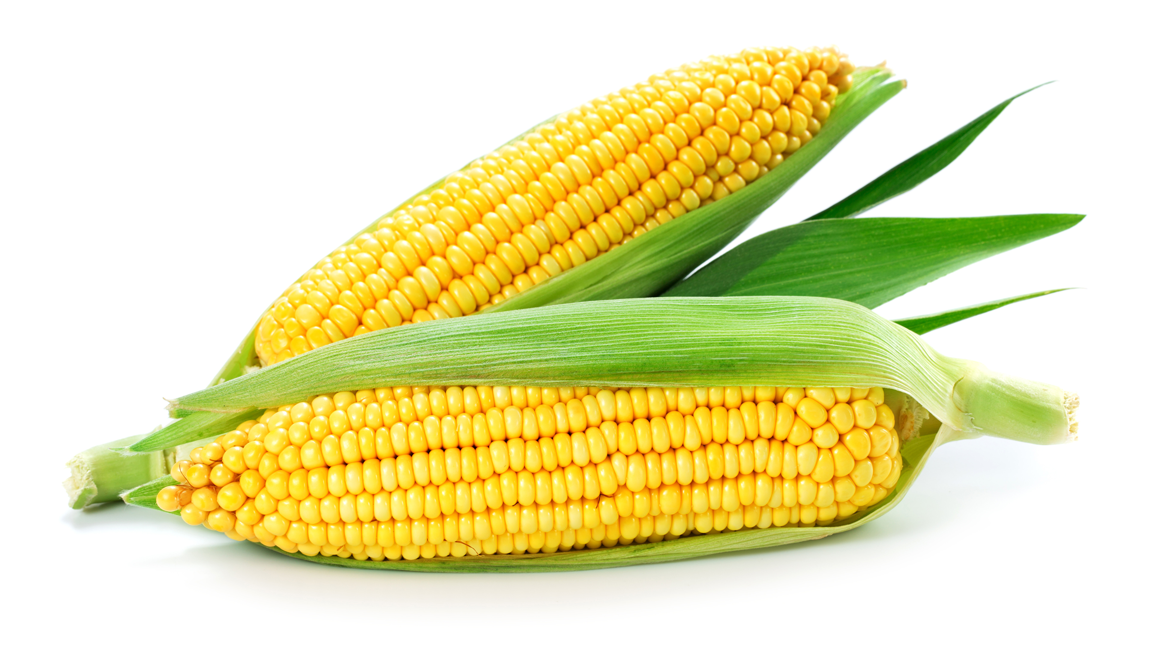 Corn