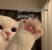 65b2eda702f57989259f0c119429f0bc.jpg